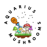 Aquarius Mushrooms Art Gallery featuring soft sculpture trip buddies